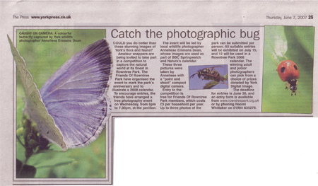 My photos in The Press article, 7 June 2007